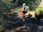 IMG_3929-Javi.jpg
