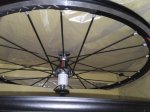 IMG_20161030_204516.jpg