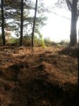 IMG-20161029-WA0003.jpg