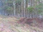IMG-20161029-WA0012.jpg