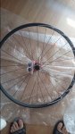 20161007_121307.jpg