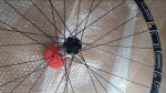 20161007_121321.jpg