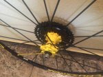IMG-20161101-WA0016.jpg