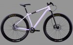 29er Belt.jpg