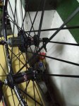 IMG_20161101_203644.jpg