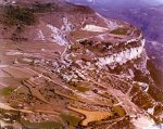 tavertet 1978 bo.jpg