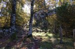 2007-10-13 Aralar048 (Medium).JPG