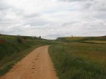 IMG_0460 (Small).JPG