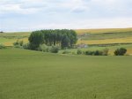 IMG_0468 (Small).JPG