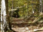 DSC07131.JPG