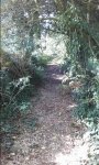 20161030_114553.jpg