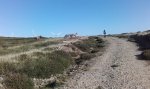 20161030_112241.jpg