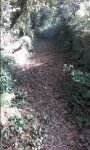 20161030_114548.jpg