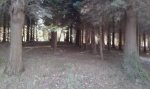 20161020_174103.jpg
