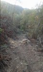 20161020_181754.jpg