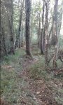 20161020_173633.jpg