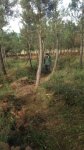 IMG-20161031-WA0006.jpg