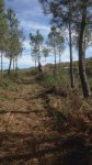 IMG-20161031-WA0007.jpg