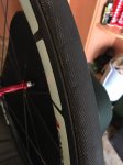 IMG-20161102-WA0010.jpg