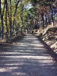 20161030_091430_red.jpg