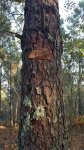 IMG-20161021-WA0001.jpg