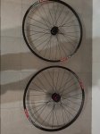 20161104_185112.jpg