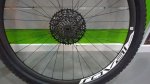 IMG_20161104_204839961.jpg