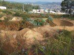 20161103_102139.jpg