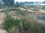 20161103_103557.jpg