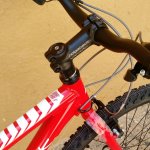 Mtb-4.jpeg
