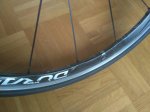 IMG_20161106_153505.jpeg