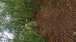 20161105_092227.jpg