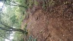 20161105_092623.jpg