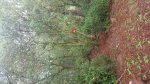 20161105_093702.jpg