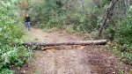 20161105_133240.jpg