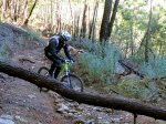 IMG_4010 Oscar.jpg