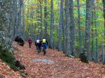 IMG_4027 Castañar.jpg
