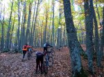 IMG_4042.jpg