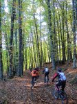 IMG_4044.jpg