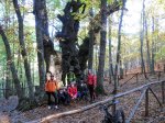 2016-11-06 Castañar 2016.jpg
