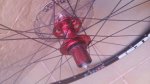20161106_104431.jpg