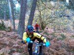IMG_20161112_113217.jpg