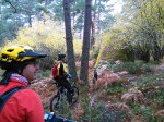 IMG_20161112_113237.jpg