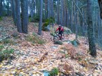IMG_20161112_114028Angel.jpg