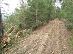 IMG_20161112_132341Carril del Gallo.jpg