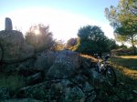 IMG-20161113-WA0002.jpeg