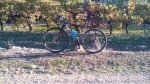 IMG_20161115_162643.jpg