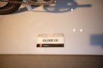 P1060023g.jpg