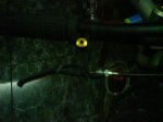 DSC00054.jpg