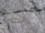 IMG_7103_redimensionar.jpg